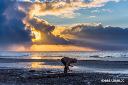 Bernsteinsucher in der Abenddämmerung