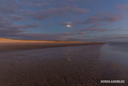 Die "Blaue Stunde" im Naturreservat bei Ho