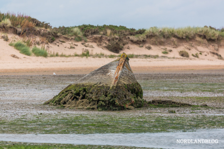 Altes Fischerboot welches erst bei Ebbe sichtbar wird - im Forvie National Nature Reserve