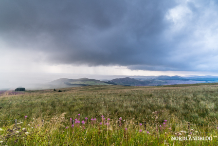Blick vom Pass am Grenzübergang England - Schottland "Carter Bar" (418 m) in den Cheviot Hills