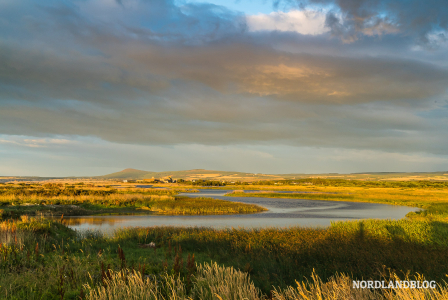 Blick vom Stellplatz auf das Delta des Flusses Spey River