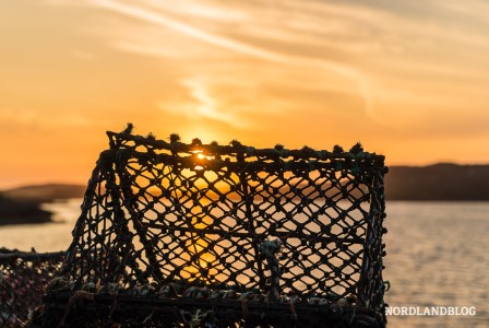 Stimmungsaufnahme - entstanden auf der Isle of Mull