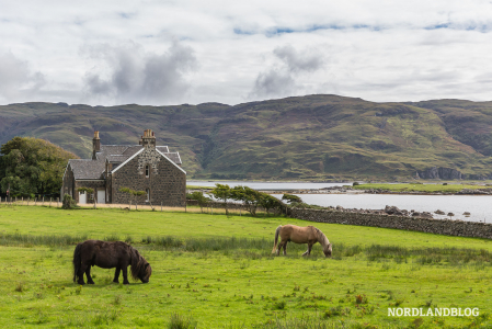 "Lochbuie" ein wundervoller Platz zum Wandern, Entdecken und Fotografieren (Isle of Mull)