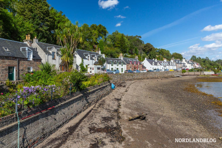 Im malerischen Örtchen Plockton wachsen sogar Palmen - "Karibik-Flair"