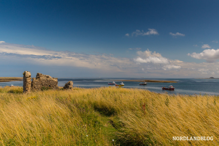 Die unbeschreiblich schöne Landschaft auf Holy Islands (England)