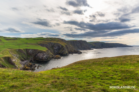 Die Steilküste nördlich von St. Abbs