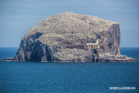 Bass Rock - der Vogelfelsen vor der schottischen Küste bei Edinburgh