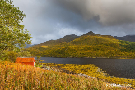 Herbststimmung auf den Lofoten am Olderfjorden