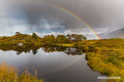 Typisch in der Region: Regenbogen im Herbst auf den Lofoten