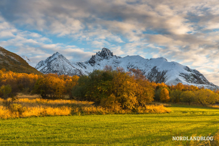 Herbstidylle auf der Insel Hadseløya (Vesterålen)