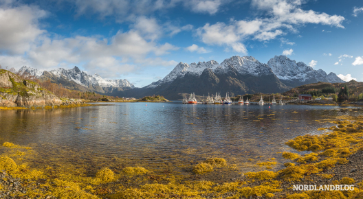Blick auf den Fischerhafen Sildpollen (Lofoten)