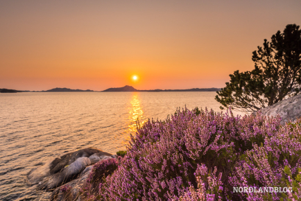 Abendstimmung an der norwegischen Küste bei Skjerjehamn (Sognefjord)