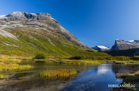 Spätsommer im Fjell unweit vom berühmten Trollstigen