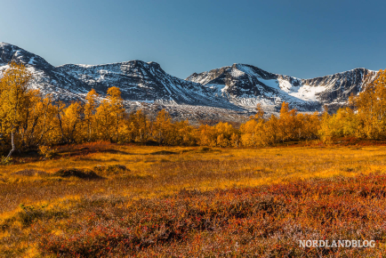 Herbststimmung im Storlidalen (Trollheimen / Oppdal)