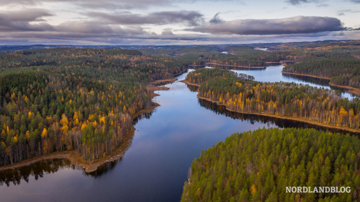 Blick über den Kolovesi Nationalpark in Finnland