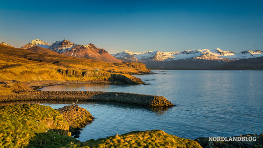 Goldene Stunde in der Bucht von Borgarfjörður