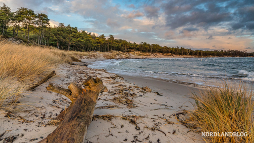 Strand von Dueodde auf Bornholm