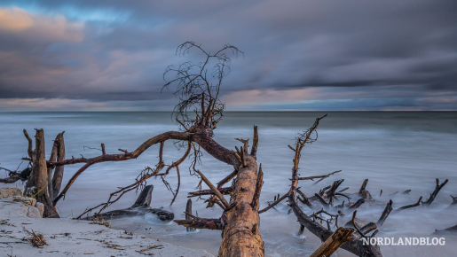 Winter am Strand von Dueodde