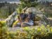 Titelbild Wanderungen und Outdoor in Norwegen (Beitrag - Ratgeber) Nordlandblog