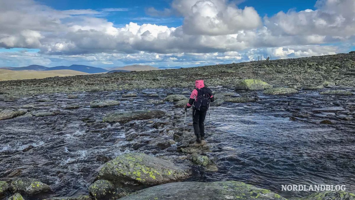 Furten auf unserer Wanderung zum Snøhetta im Nationalpark Dovrefjell (Norwegen) - Nordlandblog