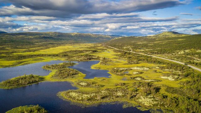 Titelbild Kastenwagen Rundreise Norwegen Dovrefjell Sümpfe bei Dombas (Ostnorwegen)