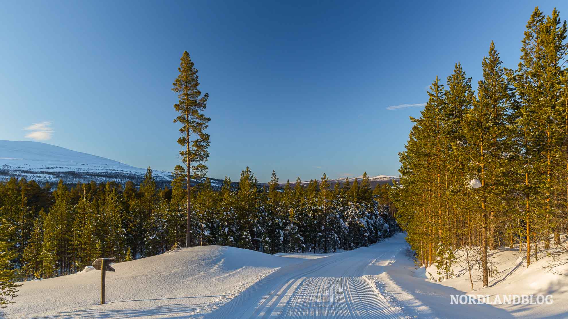 Skiloipen bei Röros (Norwegen) Winterwonderland Tour Titelbild