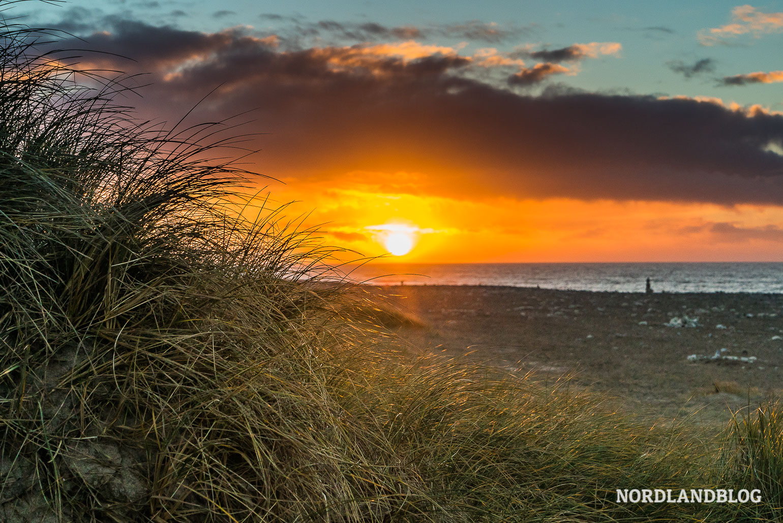 Fotogalerie Dänemark: Die schönsten Bilder unserer Reisen