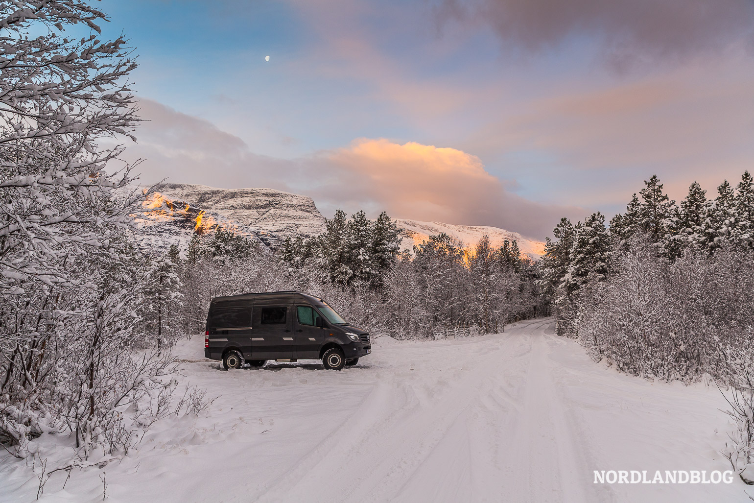 Wintercamping im Norden von Norwegen (Wald bei Skibotn)