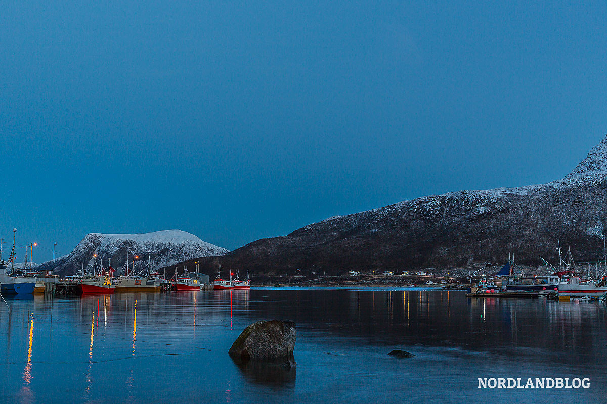 Hafen mit Fischerbooten in Tromsvik (Nordnorwegen)