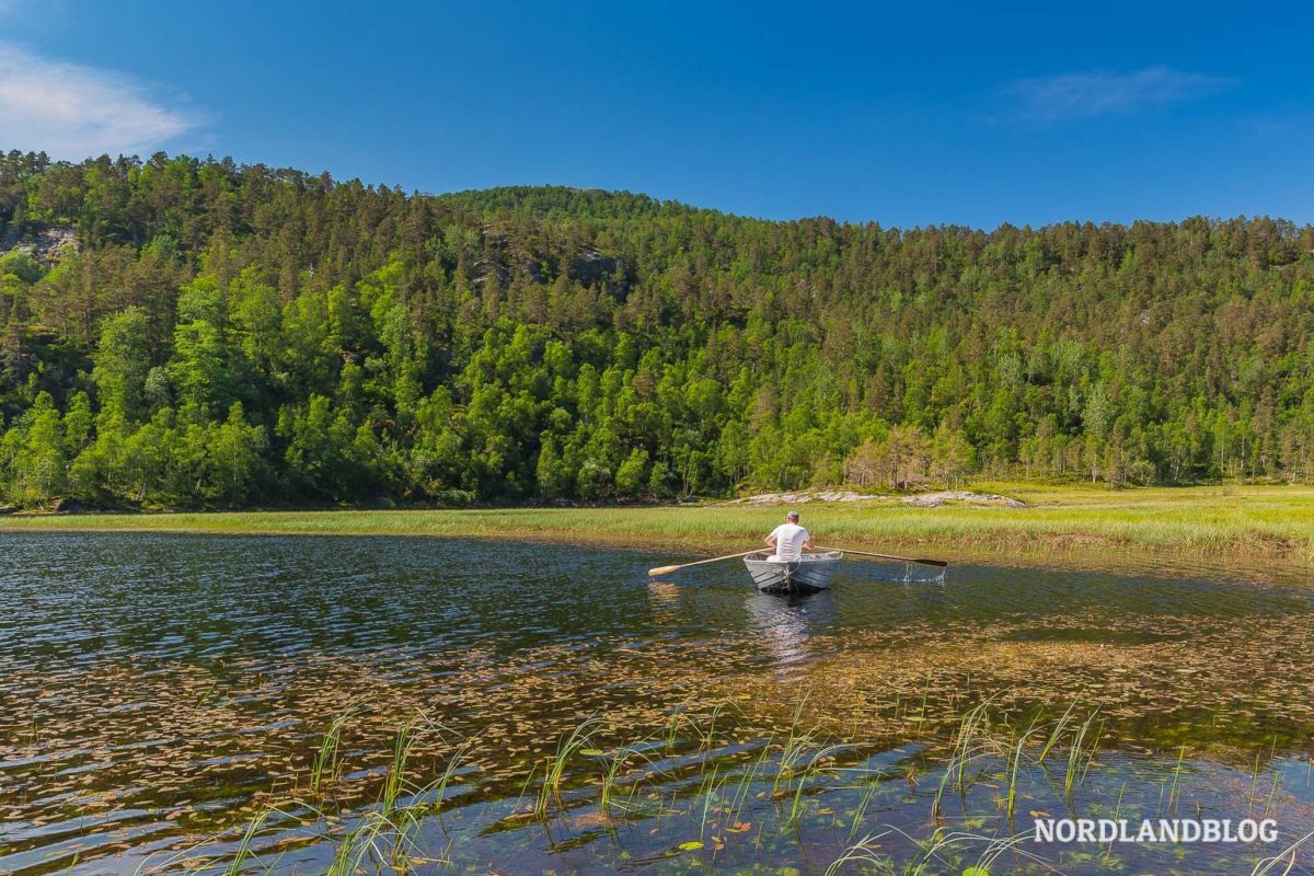 10 Ideen für den perfekten Aufenthalt am Hardangerfjord 10 Ideen für den perfekten Aufenthalt am Hardangerfjord - Tipps, Sehenswürdigkeiten, Rundreise, Hardangerfjord, Fjordnorwegen - norwegen-reisetipps - Für deinen Trip an den Hardangefjord oder durch Fjordnorwegen verraten wir dir in diesem Beitrag die zehn ultimativen Tipps, Hotspots und Aktivitäten - damit deine Reise unvergesslich wird.