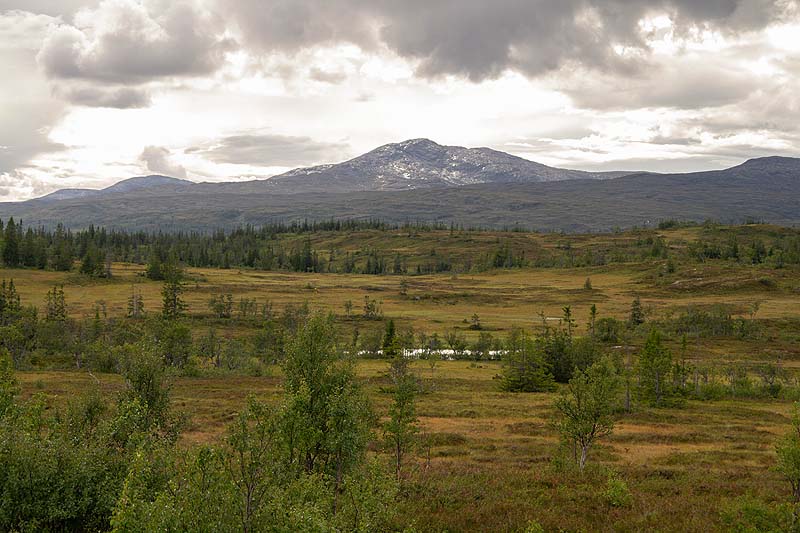 Jämtland – der wilde Westen Schwedens südlich von Lappland Jämtland – der wilde Westen Schwedens südlich von Lappland - Winter, Natur, Lappland, Jämtland, Auswandern, Abenteuer - schweden-reisetipps -