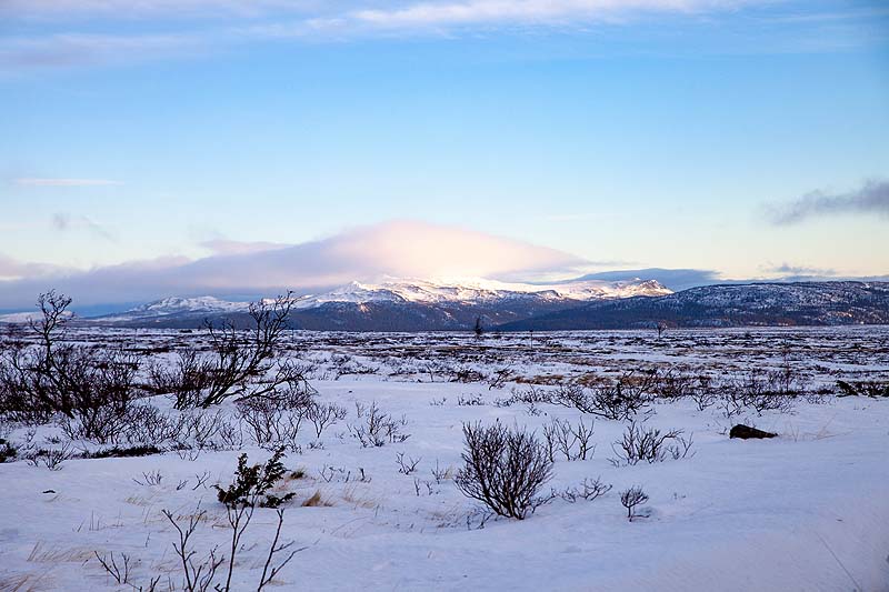 Jämtland – der wilde Westen Schwedens südlich von Lappland Jämtland – der wilde Westen Schwedens südlich von Lappland - Winter, Natur, Lappland, Jämtland, Auswandern, Abenteuer - schweden-reisetipps -