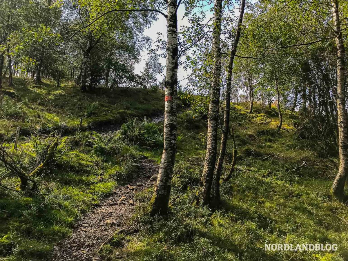Skomakernibba Wanderwege Nordlandblog Norwegen Tour Skomakernibba Wanderwege Nordlandblog Norwegen Tour