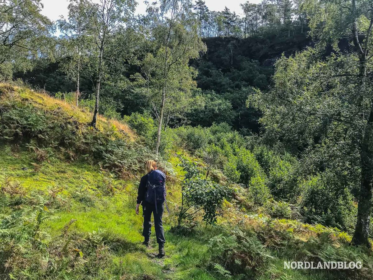 Herrliche Natur in Norwegen auf unserer Wanderung zum Skomakernibba Herrliche Natur in Norwegen auf unserer Wanderung zum Skomakernibba