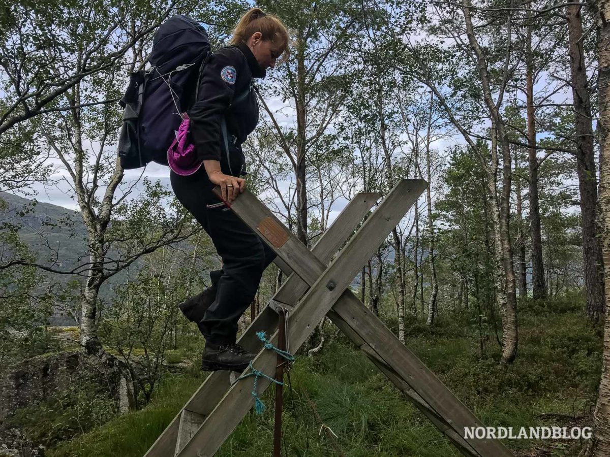 Weidezaun auf dem Weg zur Baleheia Weidezaun auf dem Weg zur Baleheia