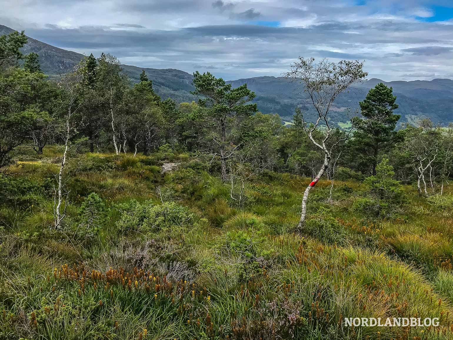 Landschaft in Vikedal Norwegen Nordlandblog