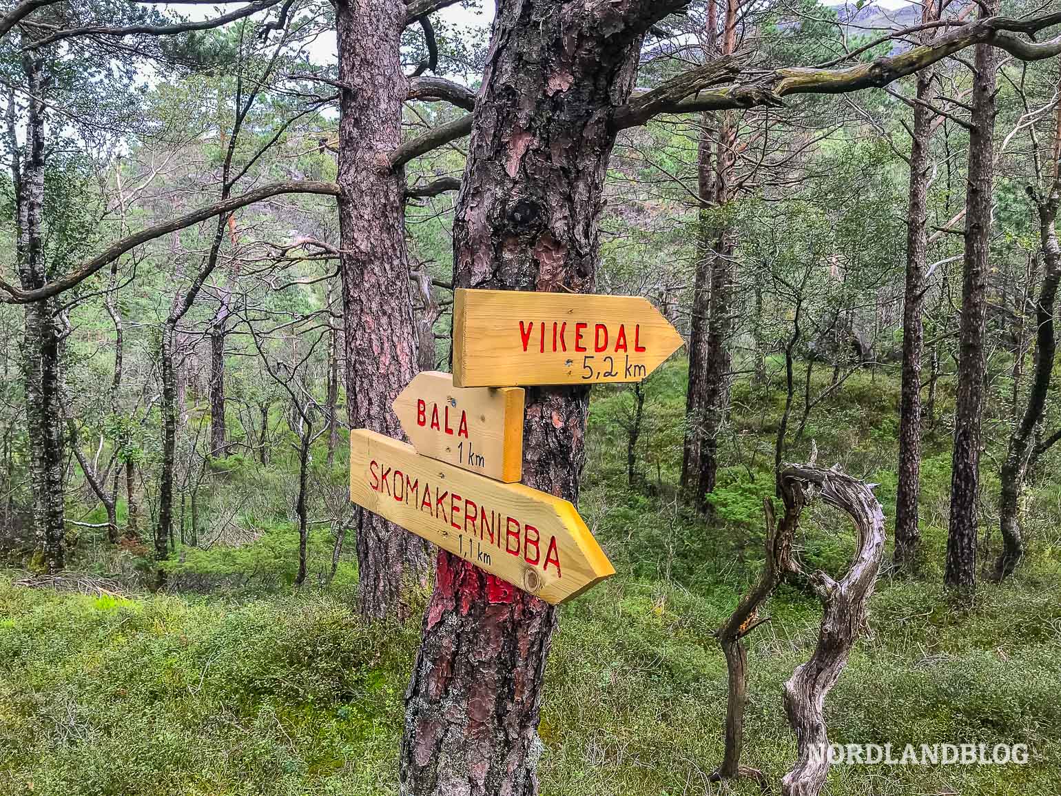Wegweiser im Wald Vikedal Norwegen Nordlandblog