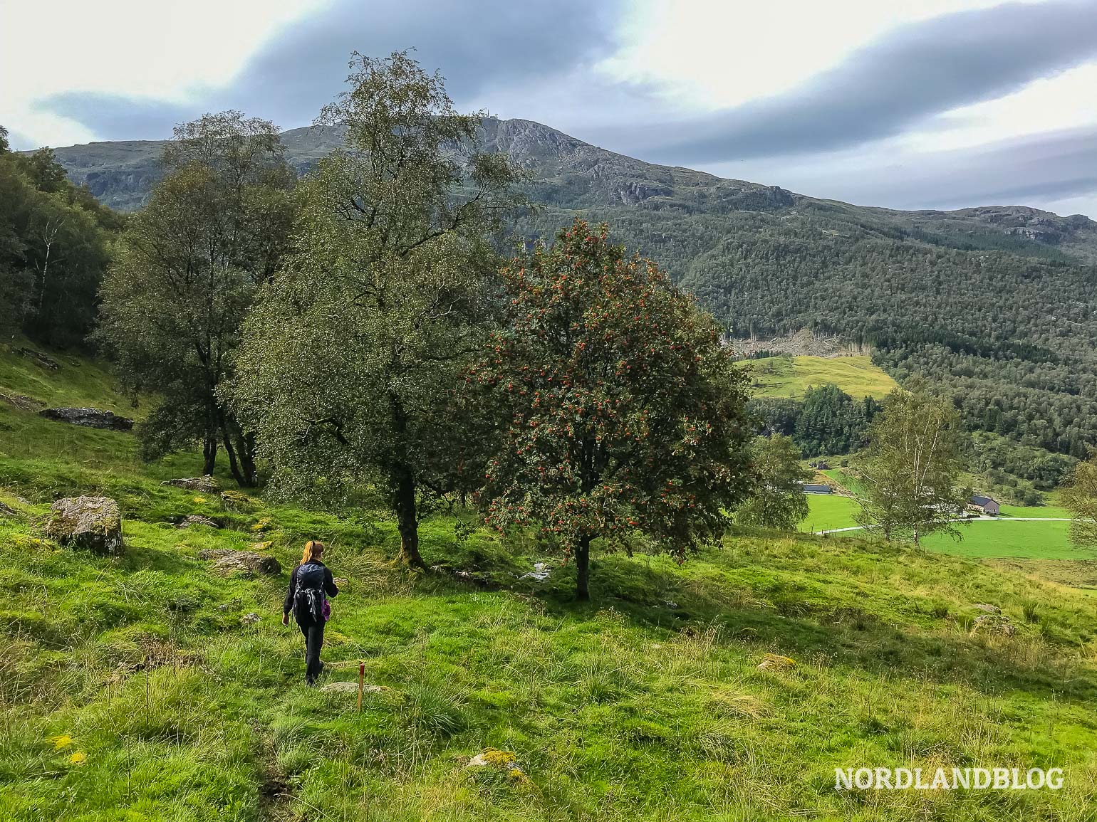 Abstieg nach Bala in Vikedal Norwegen