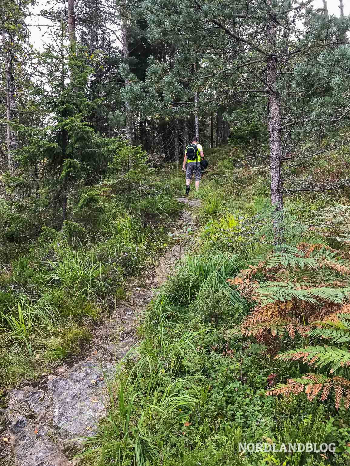 Wanderung auf die Felsformation Slottet bei Mo im Modalen (Norwegen)