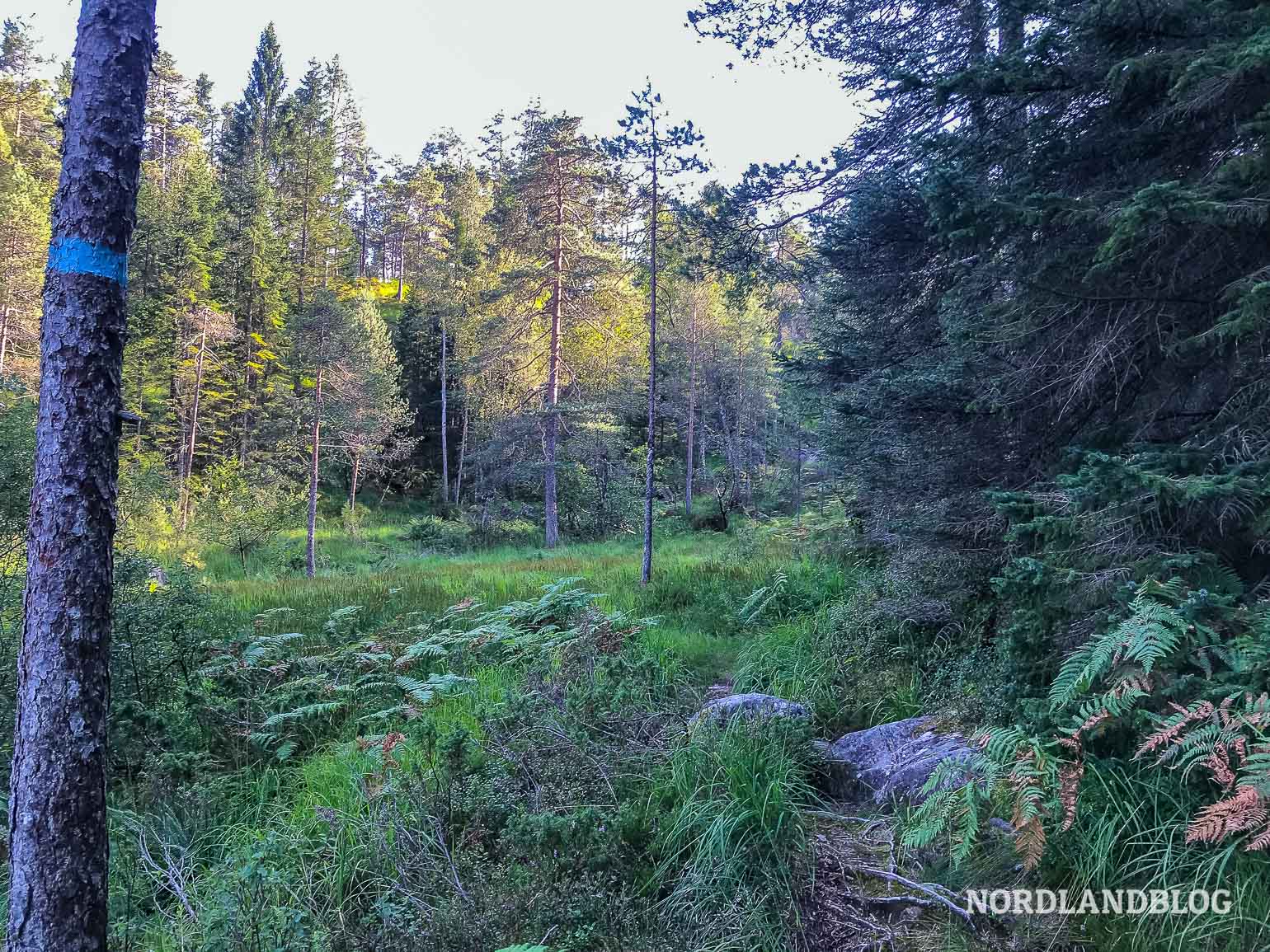 Wanderung auf die Felsformation Slottet bei Mo im Modalen (Norwegen)