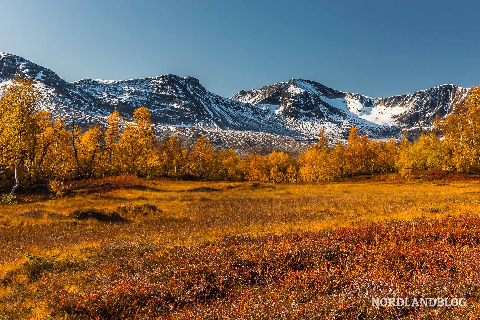 Eine unglaubliche Herbstlandschaft umgibt uns hier im Storlidalen