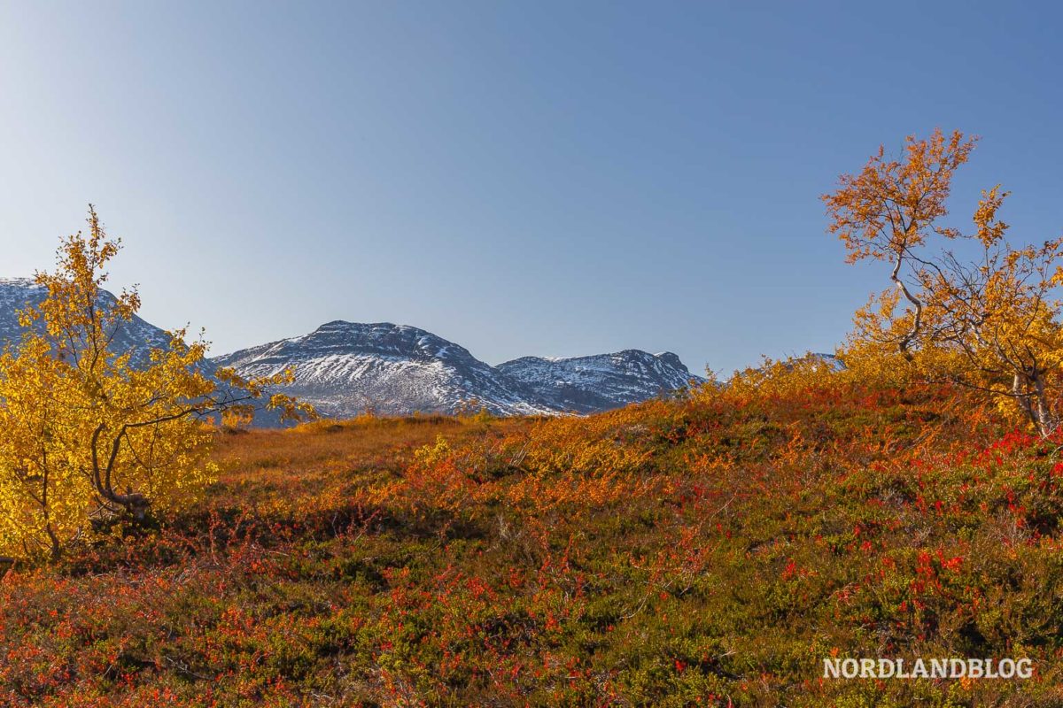 Herrliche Herbstfarben im Indian Summer in Norwegen