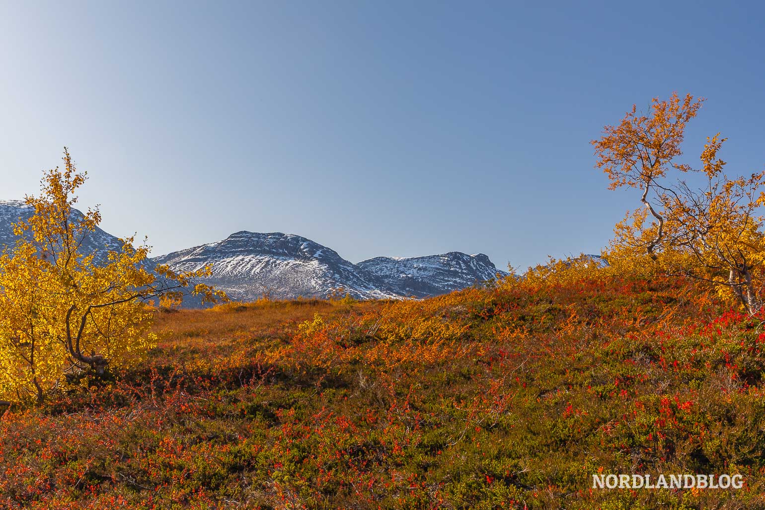 Herrliche Herbstfarben im Indian Summer in Norwegen