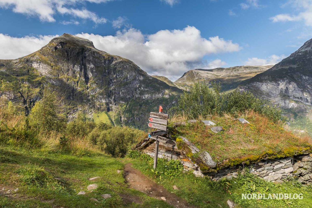 Wandern am Geirangerfjord - Auf dem Weg zur Alm Homlongsætra Wandern am Geirangerfjord - Auf dem Weg zur Alm Homlongsætra - Wandern, Geirangerfjord, Geiranger, Fjordnorwegen, Familienwanderung, Aussicht - norwegen-wanderungen -