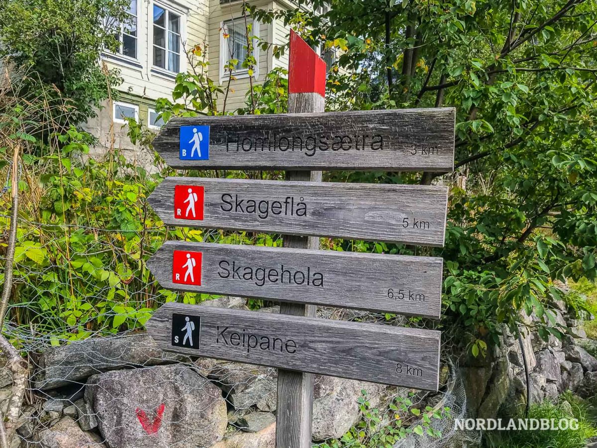 Wandern am Geirangerfjord - Auf dem Weg zur Alm Homlongsætra Wandern am Geirangerfjord - Auf dem Weg zur Alm Homlongsætra - Wandern, Geirangerfjord, Geiranger, Fjordnorwegen, Familienwanderung, Aussicht - norwegen-wanderungen -