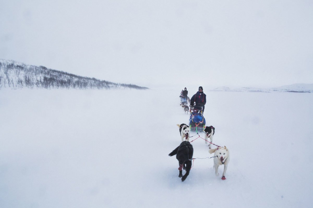 8 Tage unterwegs mit dem Hundeschlitten - Einmalige Abenteuer im Norden von Norwegen 8 Tage unterwegs mit dem Hundeschlitten - Einmalige Abenteuer im Norden von Norwegen - Winter, Nordnorwegen, Husky, Hundeschlitten, Expedition, Aktivitäten, Abenteuer - sponsored-post, norwegen-reisetipps - Transparenzhinweis: Bei diesem Beitrag handelt es sich um die Beschreibung von Aktivitäten und Erlebnissen durch den Anbieter inklusive einer Verlinkung zu dessen Homepage