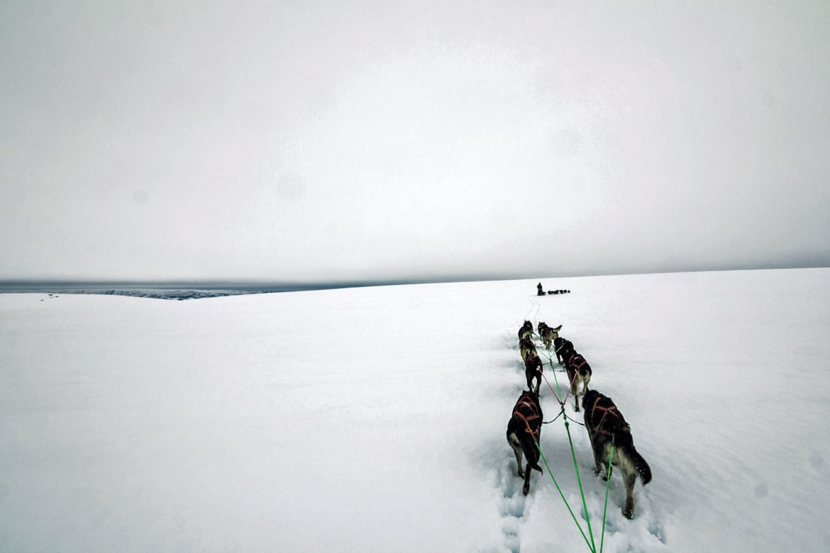8 Tage unterwegs mit dem Hundeschlitten - Einmalige Abenteuer im Norden von Norwegen 8 Tage unterwegs mit dem Hundeschlitten - Einmalige Abenteuer im Norden von Norwegen - Winter, Nordnorwegen, Husky, Hundeschlitten, Expedition, Aktivitäten, Abenteuer - sponsored-post, norwegen-reisetipps - Transparenzhinweis: Bei diesem Beitrag handelt es sich um die Beschreibung von Aktivitäten und Erlebnissen durch den Anbieter inklusive einer Verlinkung zu dessen Homepage