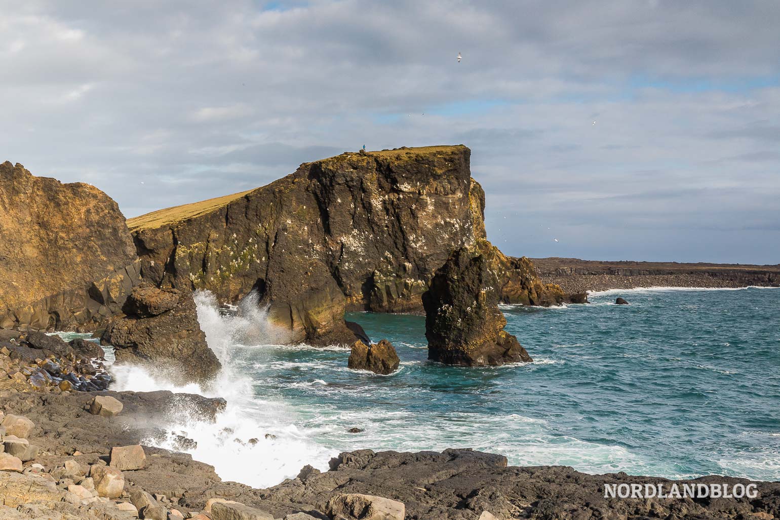 Die Küste vor der Halbinsel Reykjanes im Südwesten von Island