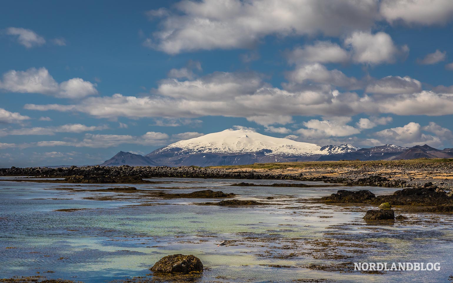 Am Strand von Ytri Tunga mit Blick auf den Snæfellsjökull (Island)