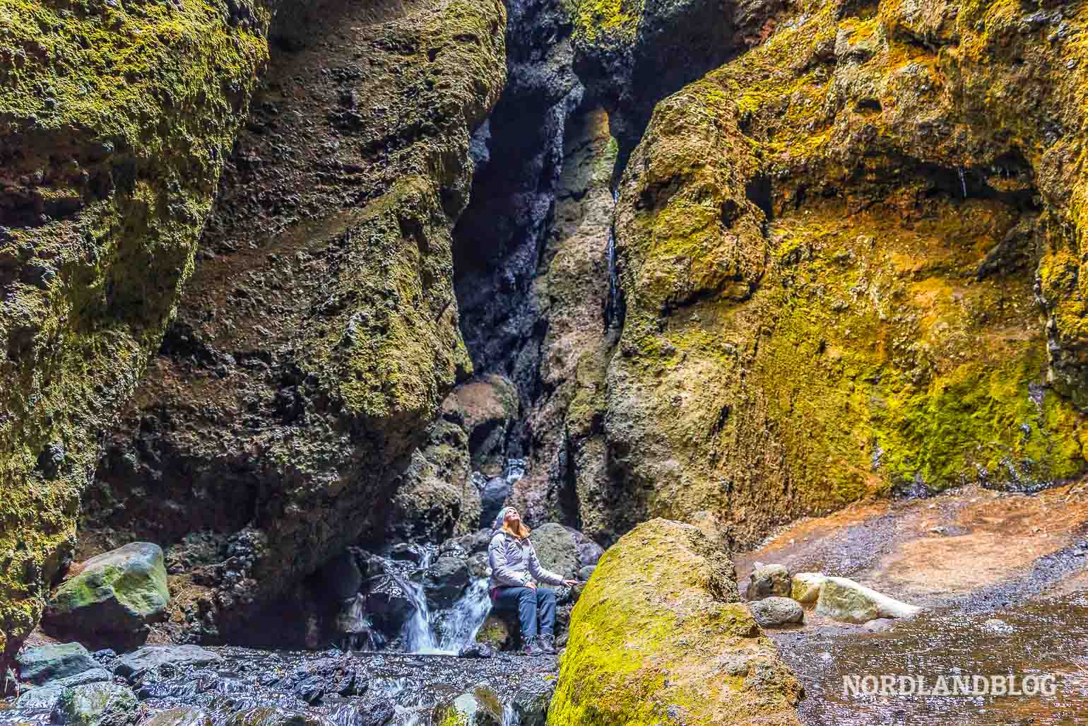 Felsspalte und Wasserlauf auf Island Rauðfeldsgjá